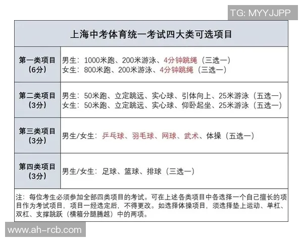 球员评分系统全方位对比分析 解读评分标准与差异